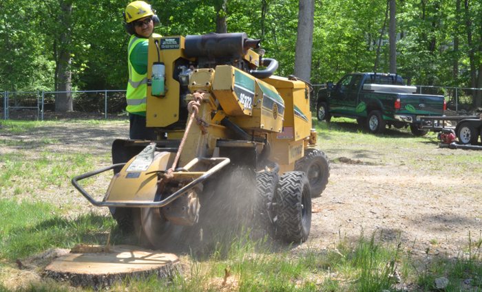 land clearing