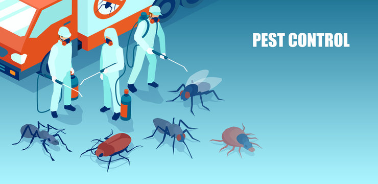Title: Beyond Extermination: The Scope of Comprehensive Pest Control Services