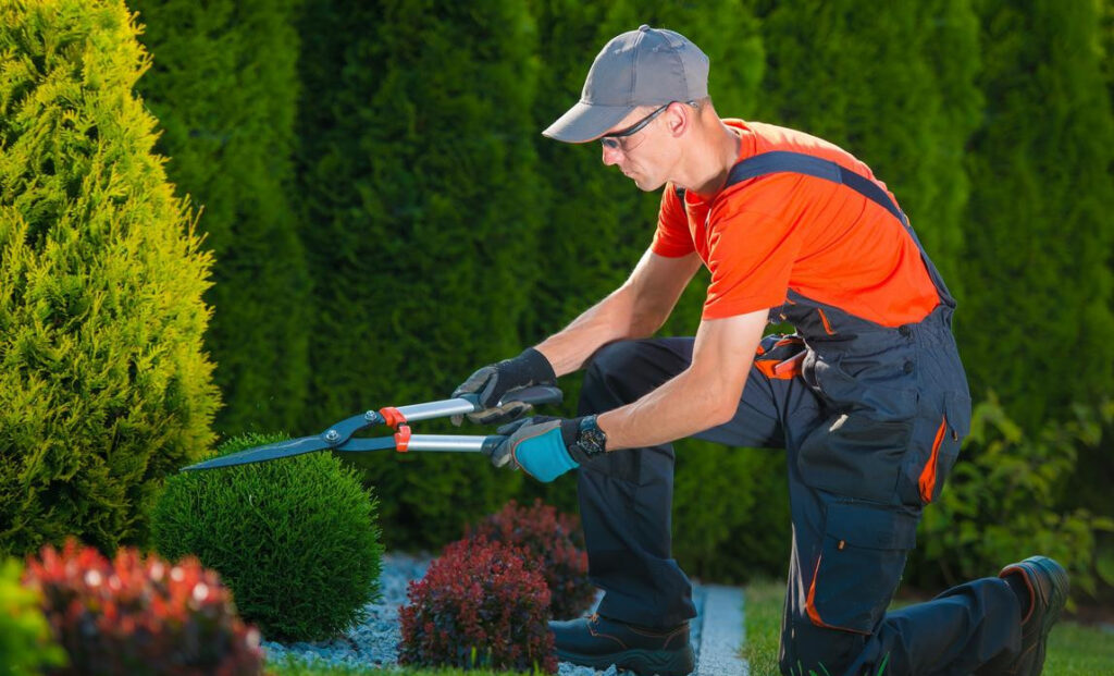 Why Hiring a Professional Landscaping Company is Worth It?