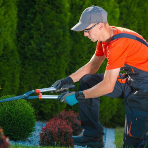 Why Hiring a Professional Landscaping Company is Worth It?