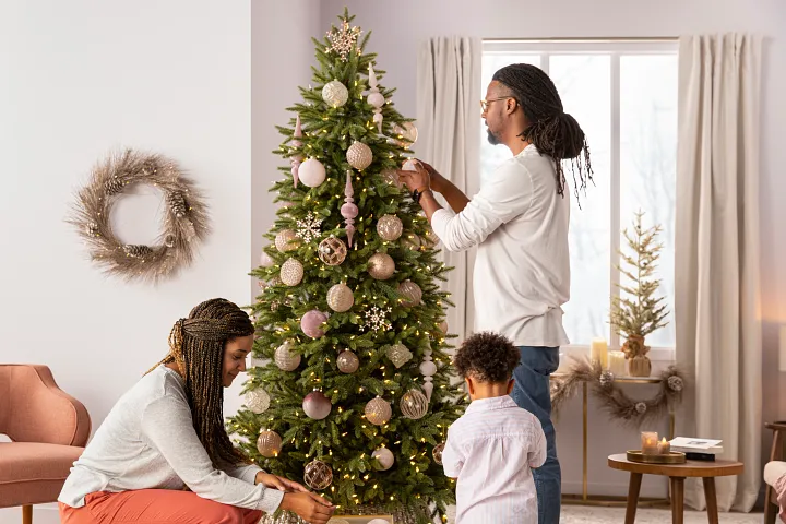 browse our Christmas ornaments 