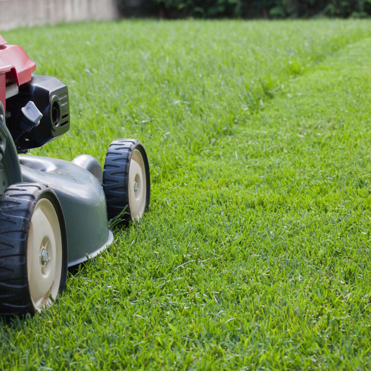 lawn service Nampa
