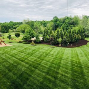 lawn care near me