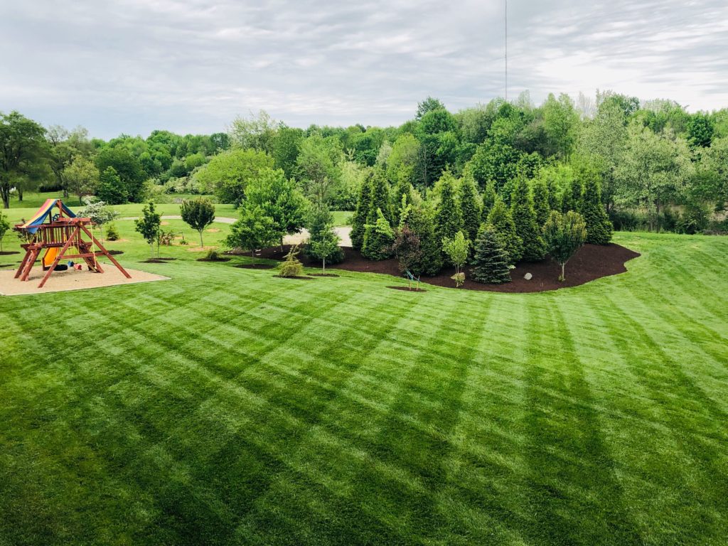 Tree And Shrub Services Supporting Balanced Growth And Visual Landscape Harmony Tree And Shrub Services Supporting Balanced Growth And Visual Landscape Harmony