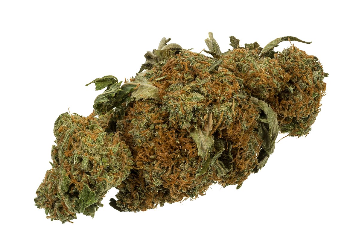 best thca flower online