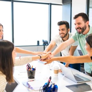 professional case management