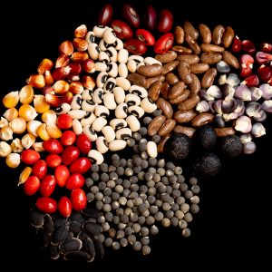 Wildflower Seed Mixes Encourage Pollinator Activity And Greater Plant Diversity