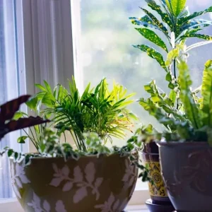 Boost Garden Durability With Pots Built For Heat, Sun, And Seasonal Changes